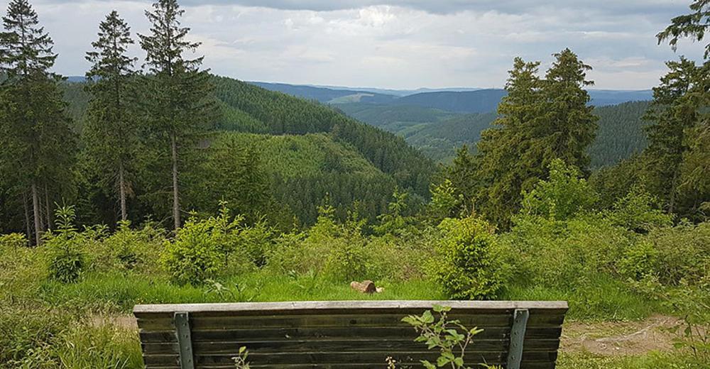 Ferienhaus Astenblick - Ideal Fuer Weihnachtsfeiern Und Familienfeiern Bietet Schlafplaetze Fuer Bis Zu 35 Personen Villa Winterberg Ngoại thất bức ảnh